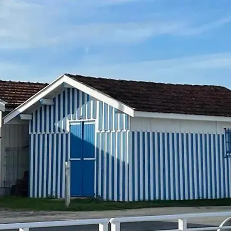 Cosy Arcachon Bay